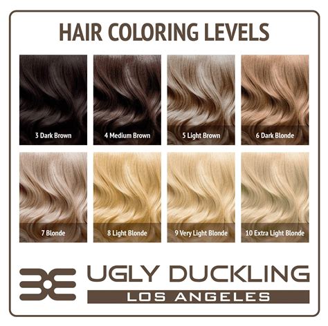 How to color level 6 hair - Ugly Duckling