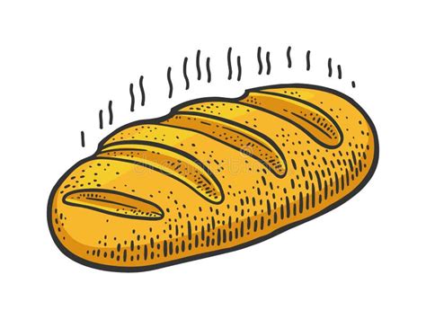 Bread Loaf Sketch Engraving Vector Illustration Stock Vector ...