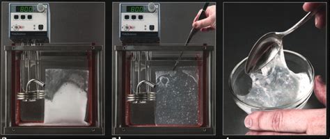 Starch Gelatinization |Science Meets Food