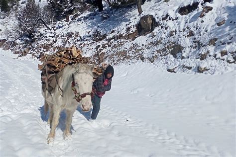 Heavy snowfall over Nepal Himalaya | Nepali Times