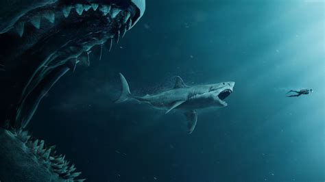 Megalodon Shark Wallpapers - Wallpaper Cave