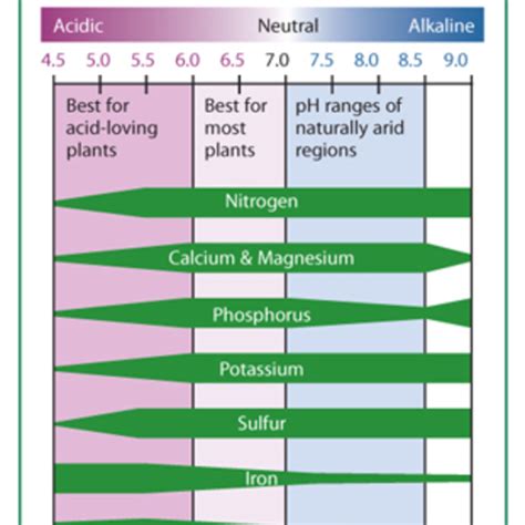 The Four Things You Need to Know About Soil pH - Fine Gardening