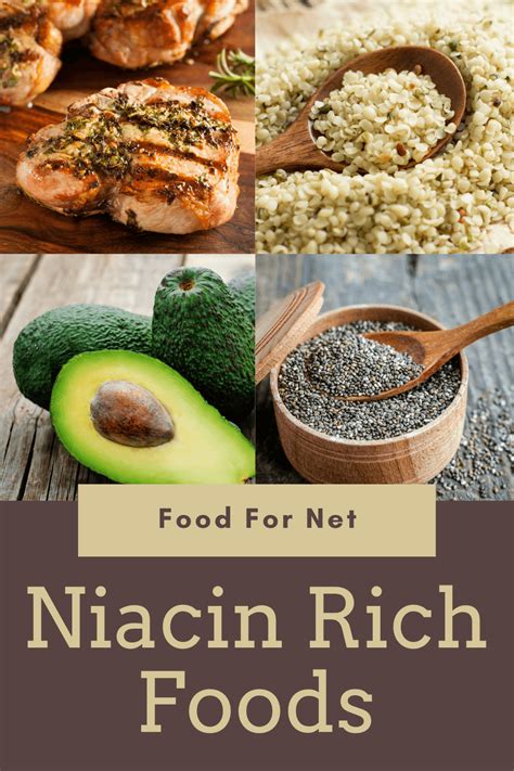 18 Niacin Rich Foods So You Can Keep Your Vitamin B3 Levels Up | Food ...