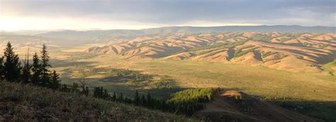 khan khentii | Mongolian steppe | khan khentii protected area