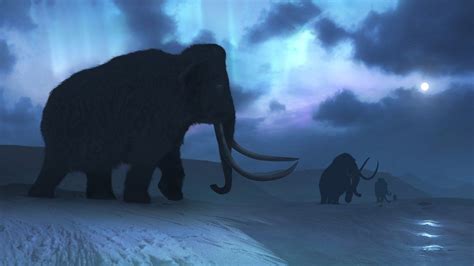 Baby woolly mammoth found frozen in ice in Canada - BBC Newsround