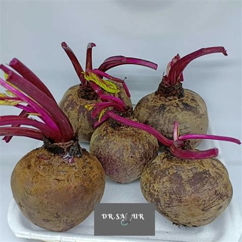 Jual Buah Bit Merah/Beet Root - Jakarta Pusat - Dr.Sayur | Tokopedia