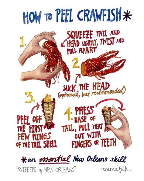 How to Peel Crawfish — Emma Fick Art | Kräftskiva, Dekorationer ...