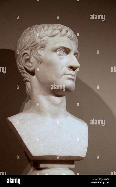 Bust of the Roman orator Cicero in the Metropolitan Museum, New York ...