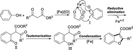 Tentative mechanism of FeCl3·6H2O-catalyzed oxidative reaction of ...