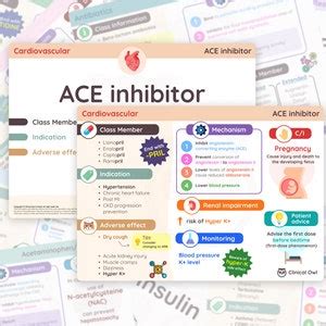 Complete Pharmacology Flashcards 125 Cards PRINTED & SHIPPED Revision ...