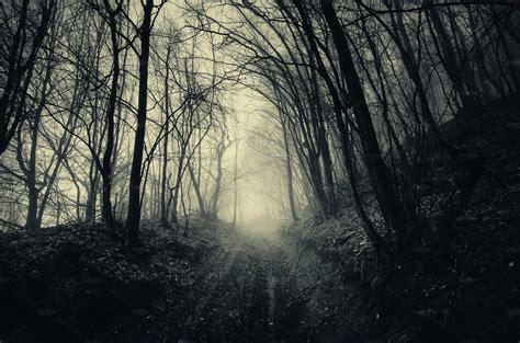 Path through haunted dark forest | Nature Stock Photos ~ Creative Market