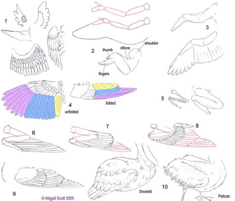 Folded Bird Wings by keaalu on DeviantArt