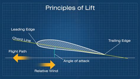 Chord Line in Aviation? What it Is and Why It is Important - Pilot ...