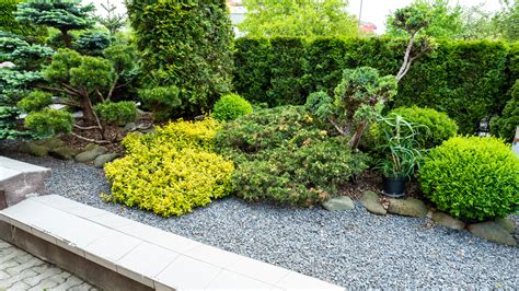 Types Of Bushes For Landscaping That Will Add Beauty And Interest To ...