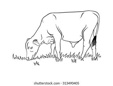 870 Cow Eating Grass Drawing Images, Stock Photos & Vectors | Shutterstock