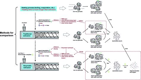 Dynamics of rapid starch gelatinization and total phenolic ...