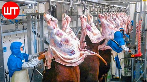 Modern Meat Processing Factory | Million Dollar Cow Processing ...