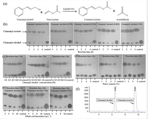 Quantitative analysis of cinnamyl acetate synthesis. (a) Effect of ...