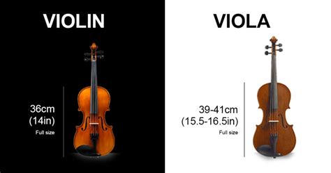 Violin vs Viola: What’s The Difference? – Caswell’s Strings – Take it away