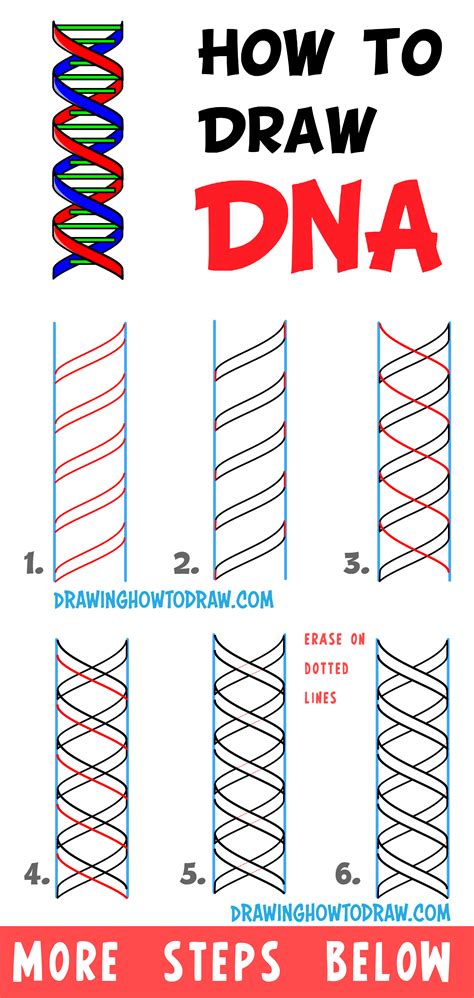 How to Draw DNA Double Helix Structure – Easy Step by Step Drawing ...