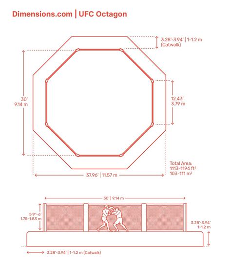 Ultimate Fighting Championship Octagon