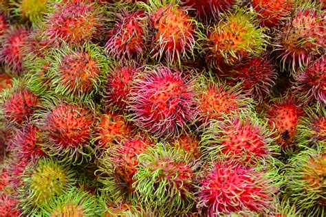 CUTI-CUTI MALAYSIA DUP2A: Top 5 Malaysian Fruits