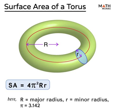 Torus Shape – Definition, Examples, and Diagrams