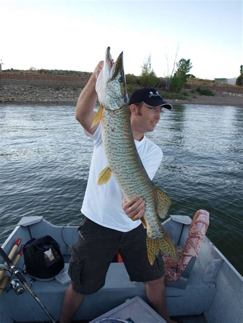 Muskellunge fishing using Gitzit lures. gitzitinc.com ...