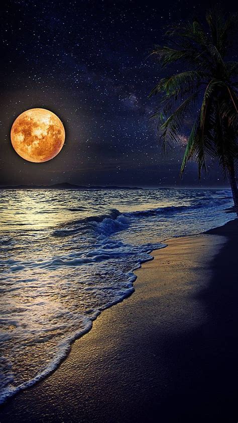 Noche, playa, paisaje, luz de la luna, mar, puesta de sol, Fondo de ...