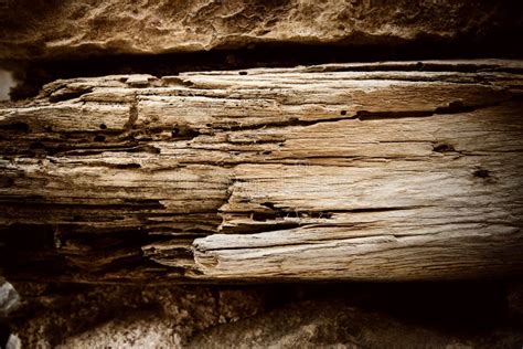 315 Rotted Wood Texture Photos - Free & Royalty-Free Stock Photos from ...