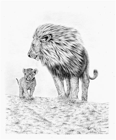 Lion And Cub