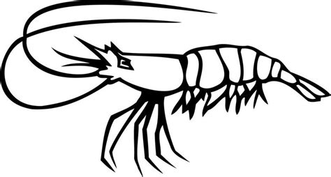 Free Shrimp Clipart Pictures - Clipartix