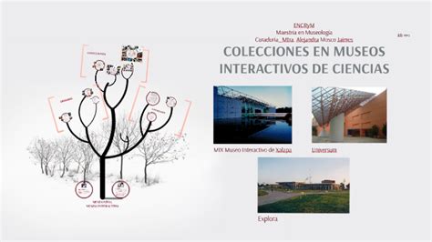 COLECCIONES EN MUSEOS INTERACTIVOS DE CIENCIAS by Sandra Cerezo on Prezi