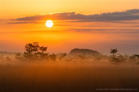 Photography in the Fog - Photofocus