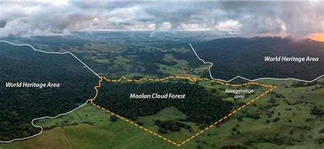 Maalan Cloud Forest purchase and protection