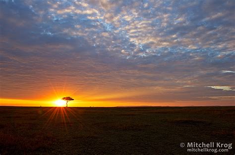 Epic Maasai Mara African Sunrise Landscape, Kenya