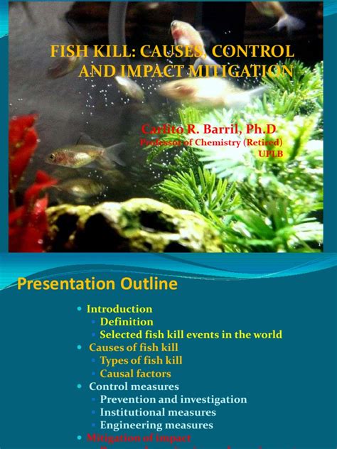 Fish kill: Cause, Control and Impact Mitigation | Environmental Science ...