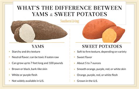 What's The Difference Between Yams And Sweet Potatoes?