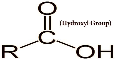 Hydroxyl Group - Assignment Point