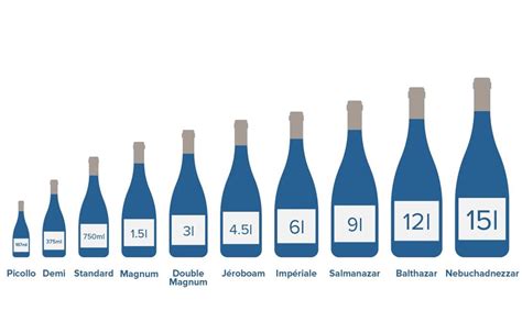 The definitive guide to wine bottle shapes and sizes – Tannins