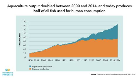 How Can We Reduce The Impact Of Overfishing: Sustainable Solutions