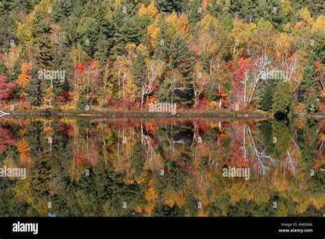 fall forest reflection in lake Stock Photo - Alamy