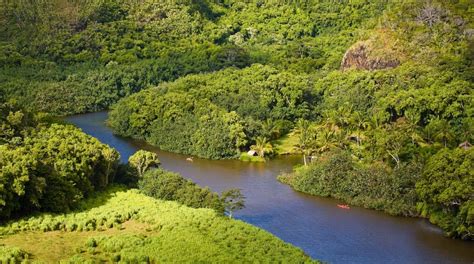 Wailua River State Park Tours - Book Now | Expedia