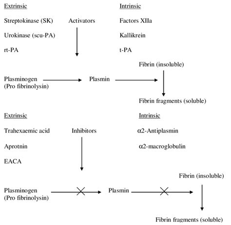 Relationship of components of the fibrinolytic system with activators ...