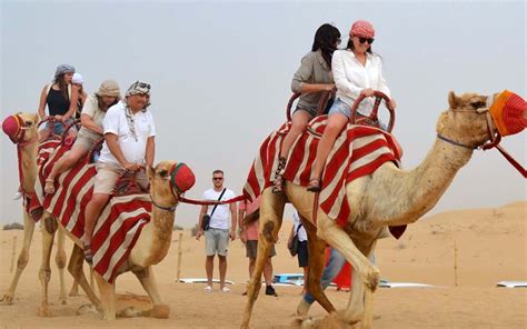 Camel riding in Dubai: Desert Safari, Platinum Heritage & more - MyBayut