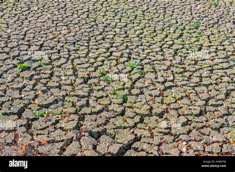 Cracked earth from drought - France Stock Photo - Alamy