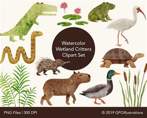 Wetlands Animals Watercolor Clipart Cute Swamp Animals - Etsy España