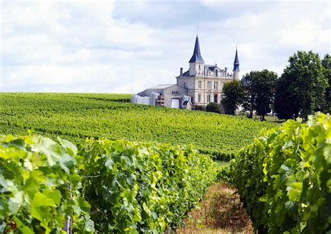 Bordeaux wine tours - useful guide to oenotourism in Bordeaux wine region