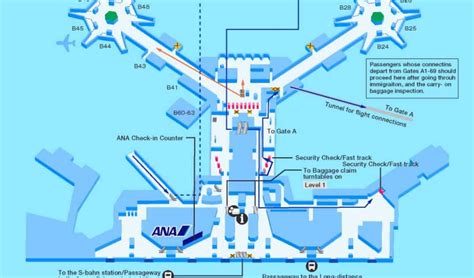 Flughafen Frankfurt Ankunft Terminal 2 Plan - arik nirvas