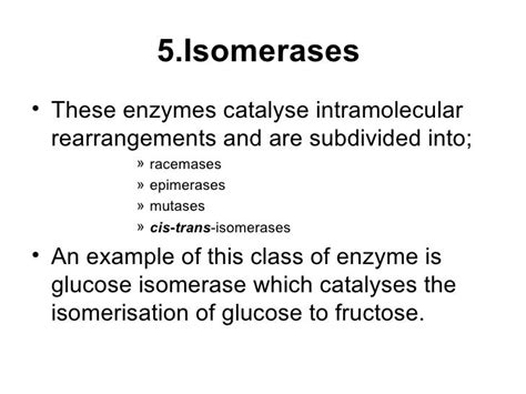 Enzyme And Metabolism